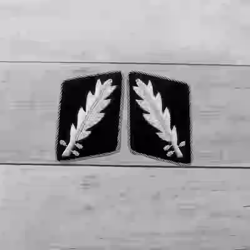 SS Standartenführer Collar Tabs SS Standartenführer Collar Tabs – Premium Replica, made of Hand-embroidered aluminum wire with aluminum piping on black wool background