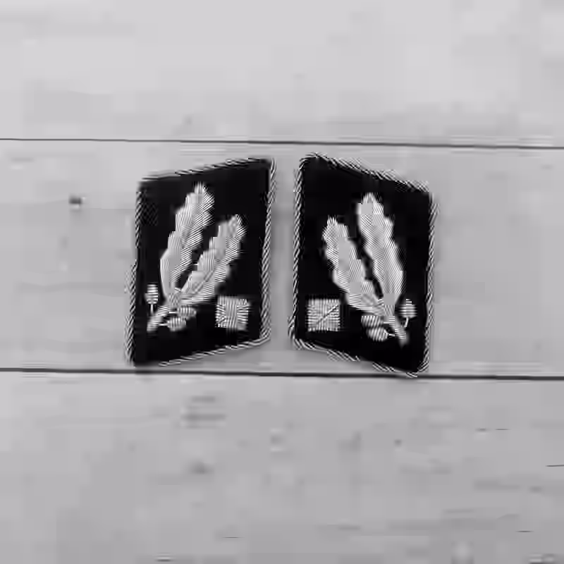 SS Brigadeführer Aluminum Wire Collar Tabs SS Brigadeführer Aluminum Wire Collar Tabs – Premium Replica, made of Hand-embroidered aluminum wire with aluminum piping on black wool background