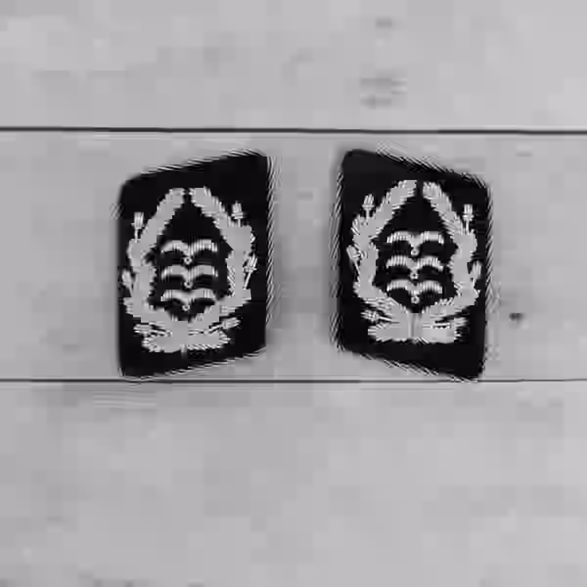 Luftwaffe Oberst Colonel Officer's Pioneer Collar Tabs Luftwaffe Oberst Colonel Officer's Pioneer Collar Tabs – Premium Replica, made of Silver thread on black wool background
