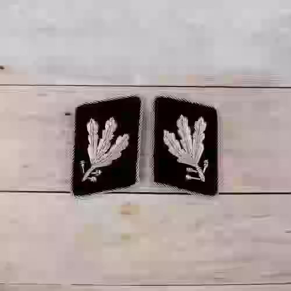 Waffen SS Gruppenführer Aluminum Wire Collar Patches Waffen SS Gruppenführer Aluminum Wire Collar Patches – Premium Replica, made of Hand-embroidered aluminum wire with aluminum piping on black wool background