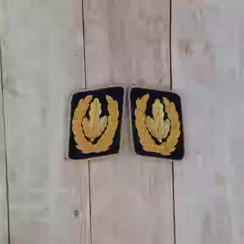 Hitler Youth Leader (Hitlerjugend) Artur Axmann Collar Tabs Hitler Youth Leader (Hitlerjugend) Artur Axmann Collar Tabs – Premium Replica, made of Black background with hand-embroidered gold bullion wire